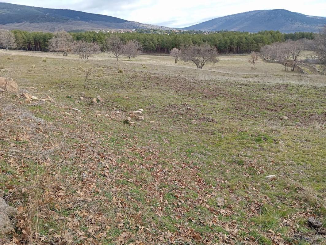 Terreno en venta en Lozoya, Madrid photo 5