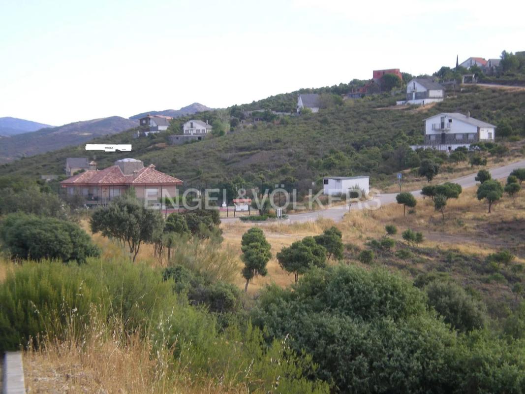 Terreno en venta en Torremocha de Jarama, Madrid photo 1