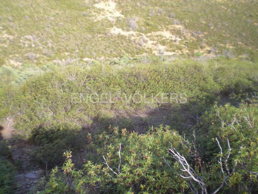 Terreno en venta en Torremocha de Jarama, Madrid photo 5