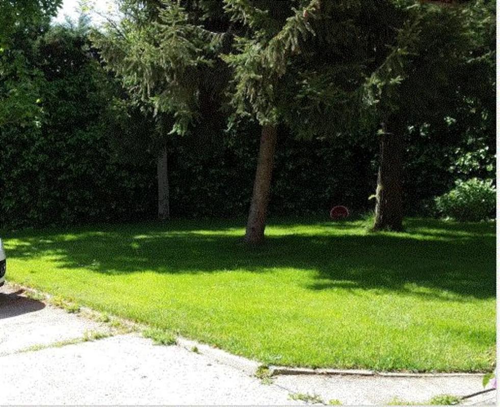 Terreno en venta en El Molar, Madrid photo 5