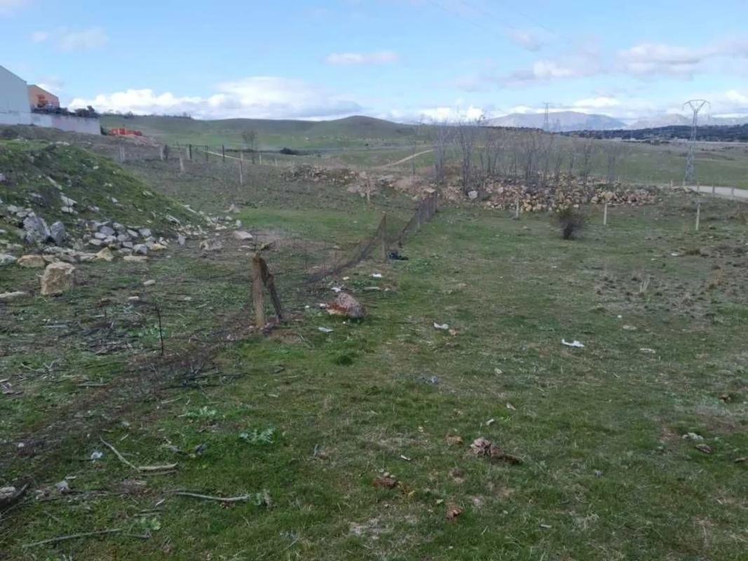 Land for sale in El Molar, Madrid photo 2