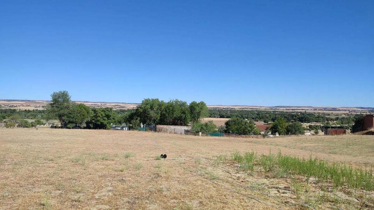 Terreno en venta en El Molar, Madrid photo 1