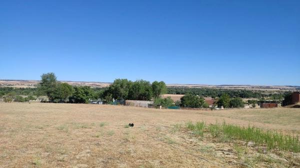 Terreno en senda de las Raposeras, 16 photo 1