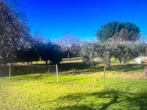 Terreno en Valdetorres de Jarama photo 1