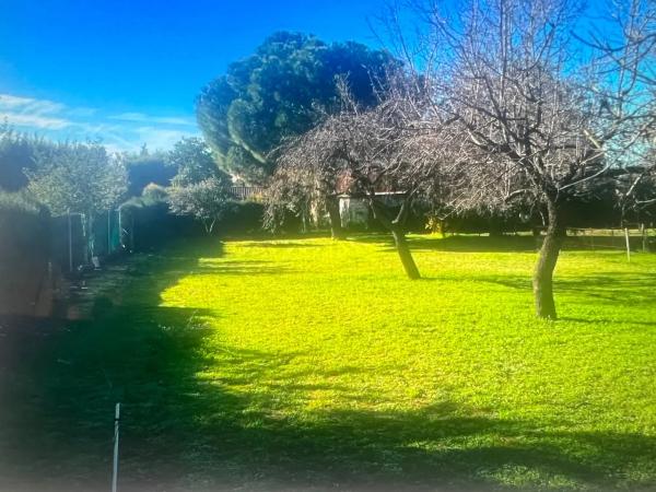 Terreno en Valdetorres de Jarama photo 2