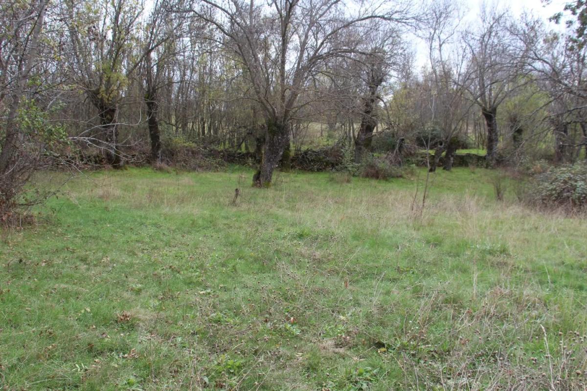 Terreno en venta en Madarcos, Madrid photo 3