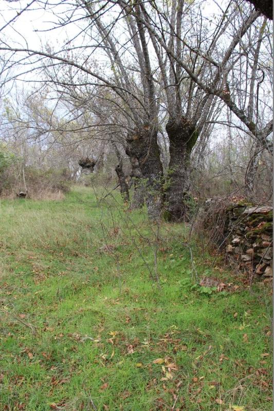 Terreno en venta en Madarcos, Madrid photo 5