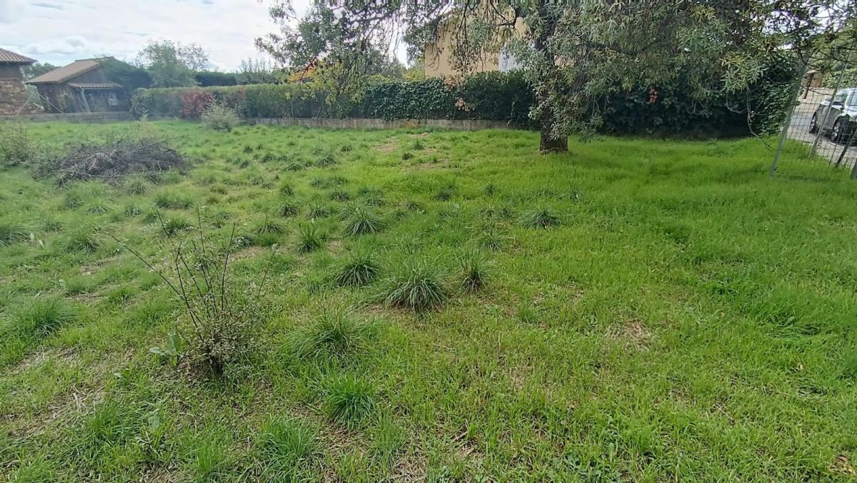 Terreno en venta en Miraflores de la Sierra, Madrid photo 3
