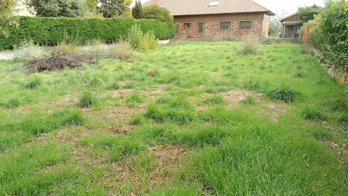 Terreno en venta en Miraflores de la Sierra, Madrid photo 5