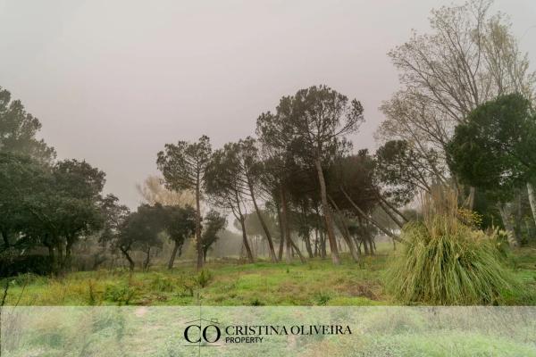 Terreno en La Moraleja urbanización photo 2