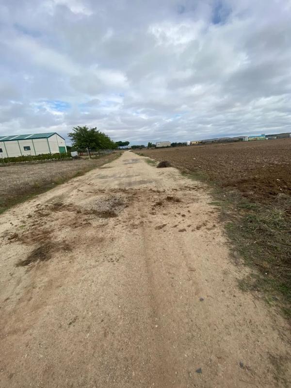 Terreno en venta en Fuente el Saz de Jarama, Madrid photo 2