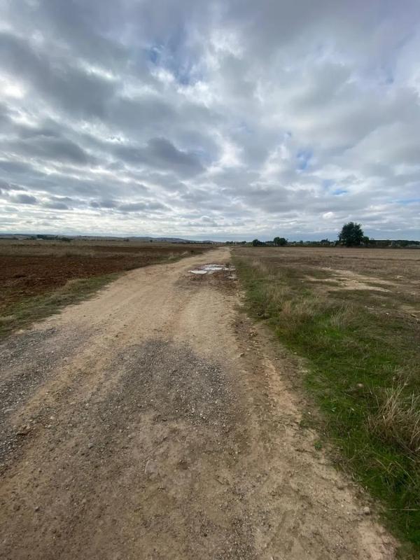 Terreno en venta en Fuente el Saz de Jarama, Madrid photo 3