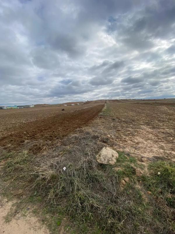 Terreno en venta en Fuente el Saz de Jarama, Madrid photo 5