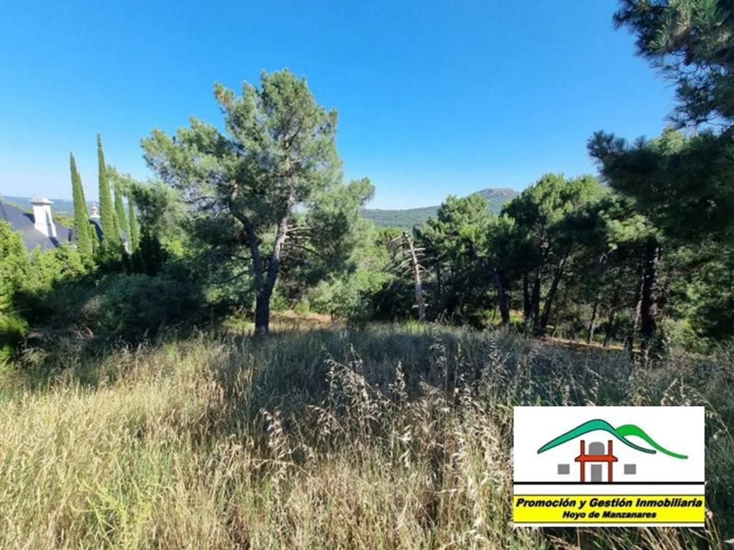 Terreno en venta en Colmenar Viejo, Madrid photo 1