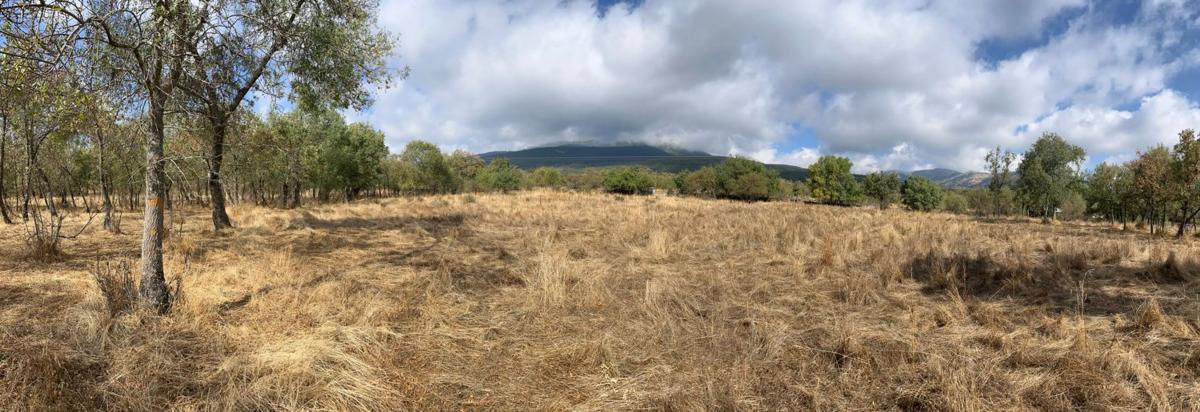 Terreno en venta en Miraflores de la Sierra, Madrid photo 4