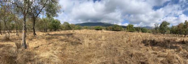 Terreno en camino de San Blas s/n photo 4