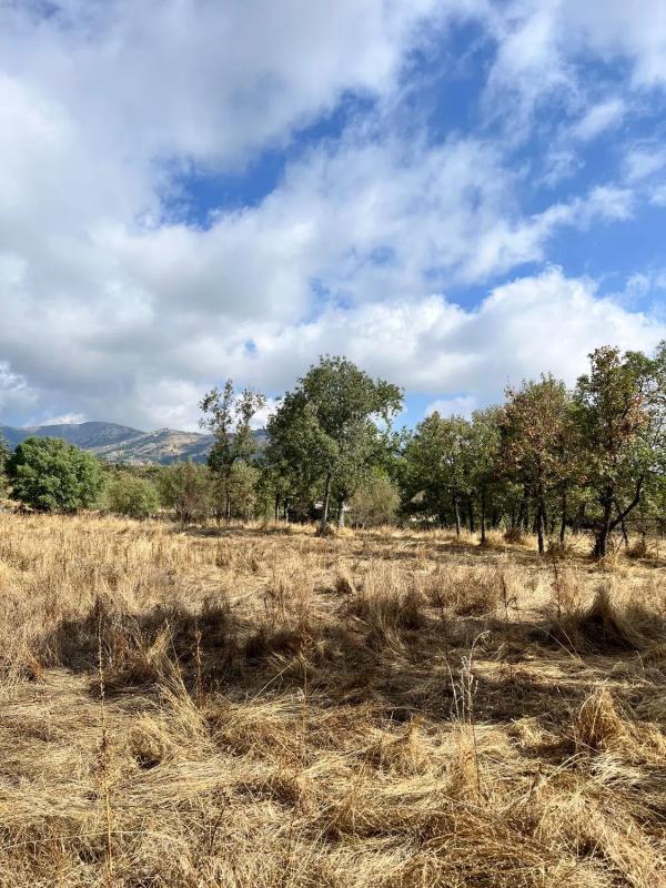 Terreno en venta en Miraflores de la Sierra, Madrid photo 5