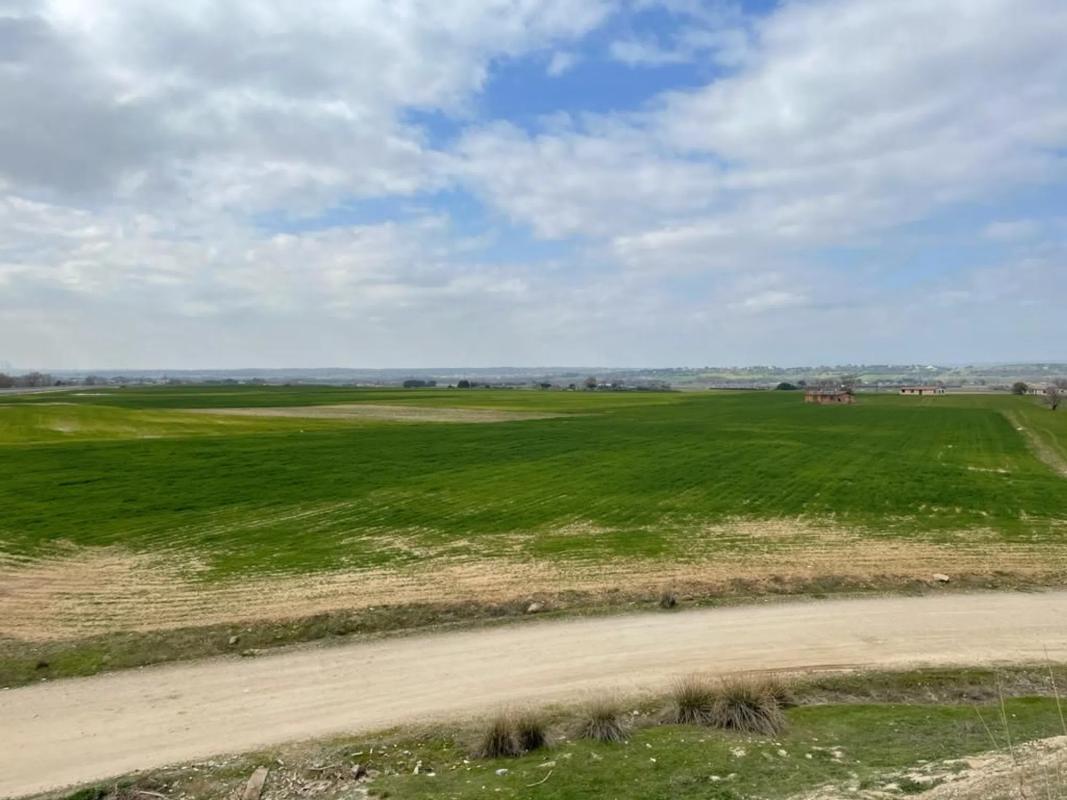 Terreno en venta en Fuente el Saz de Jarama, Madrid photo 5