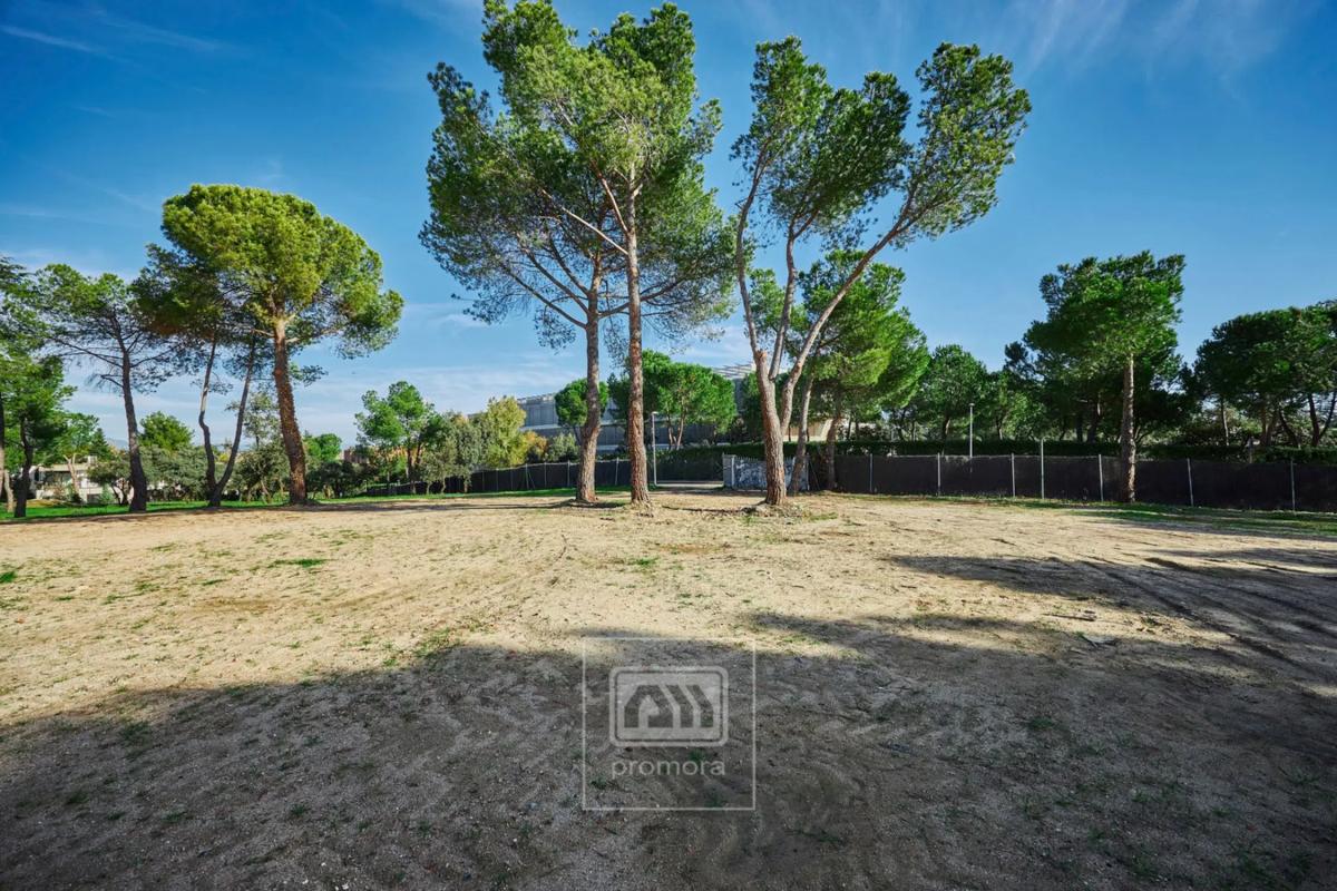 Terreno en venta en La Moraleja, Madrid photo 5