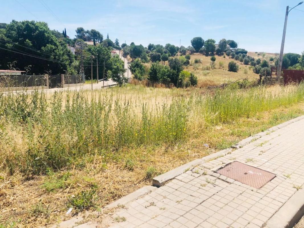 Terreno en venta en Ribatejada, Madrid photo 5