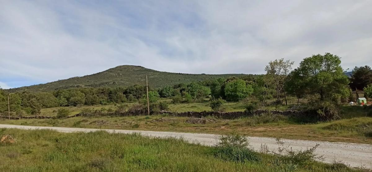 Land for sale in Pinuécar, Madrid photo 5