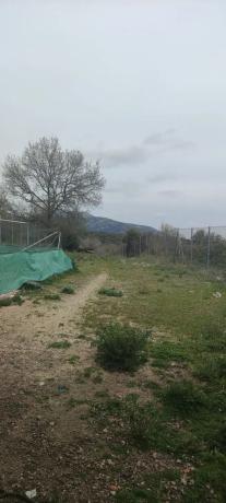 Terreno en camino de Las Viñas s/n photo 1