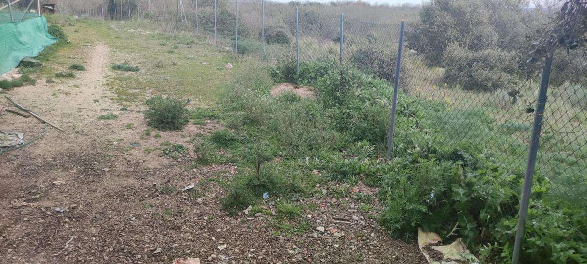 Terreno en venta en Miraflores de la Sierra, Madrid photo 3