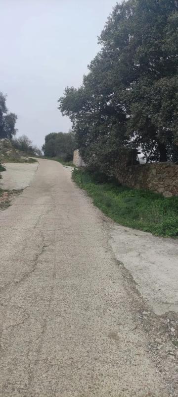 Terreno en venta en Miraflores de la Sierra, Madrid photo 5