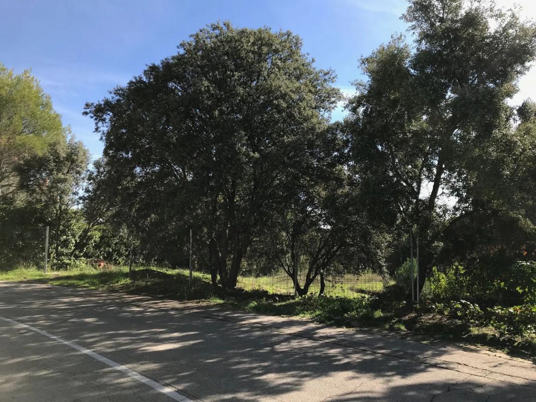 Land for sale in Ciudalcampo, Madrid photo 3