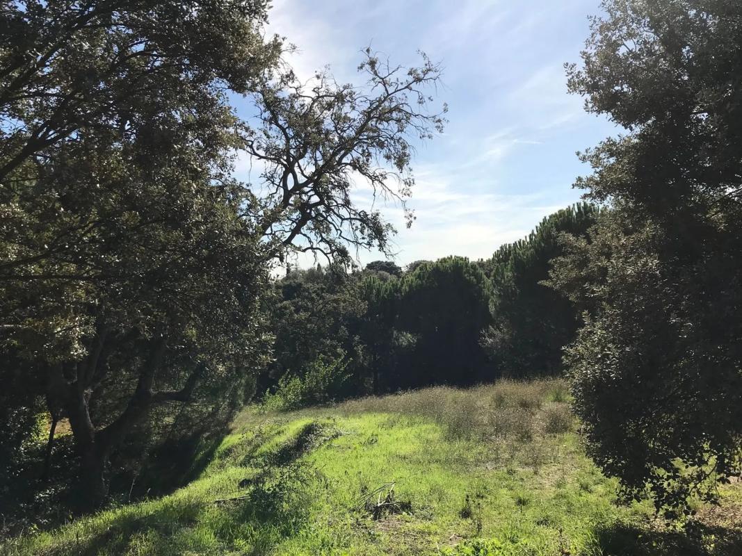 Land for sale in Ciudalcampo, Madrid photo 4