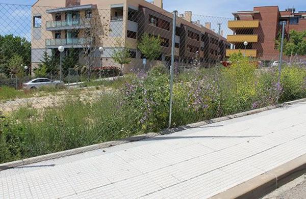 Terreno en calle Azucena photo 2