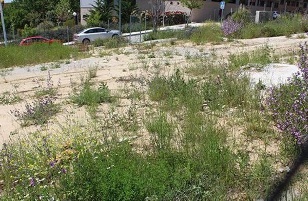 Terreno en calle Azucena photo 3
