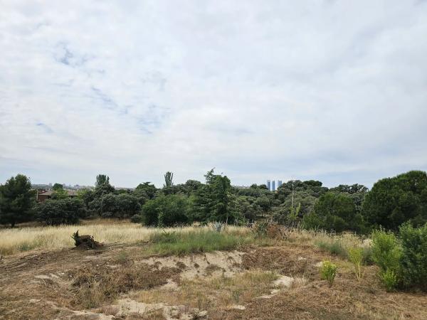 Terreno en La Moraleja urbanización photo 1
