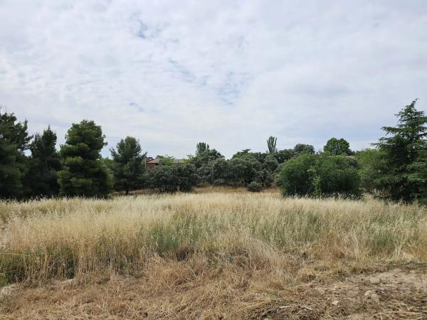 Terreno en La Moraleja urbanización thumbnail 1