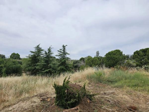 Terreno en La Moraleja urbanización thumbnail 2