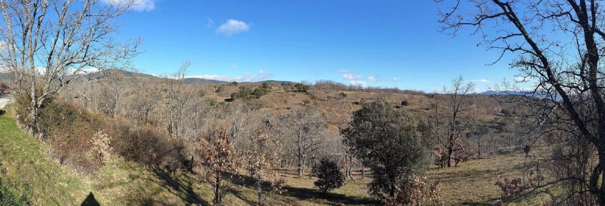 Terreno en venta en Villavieja del Lozoya, Madrid photo 3