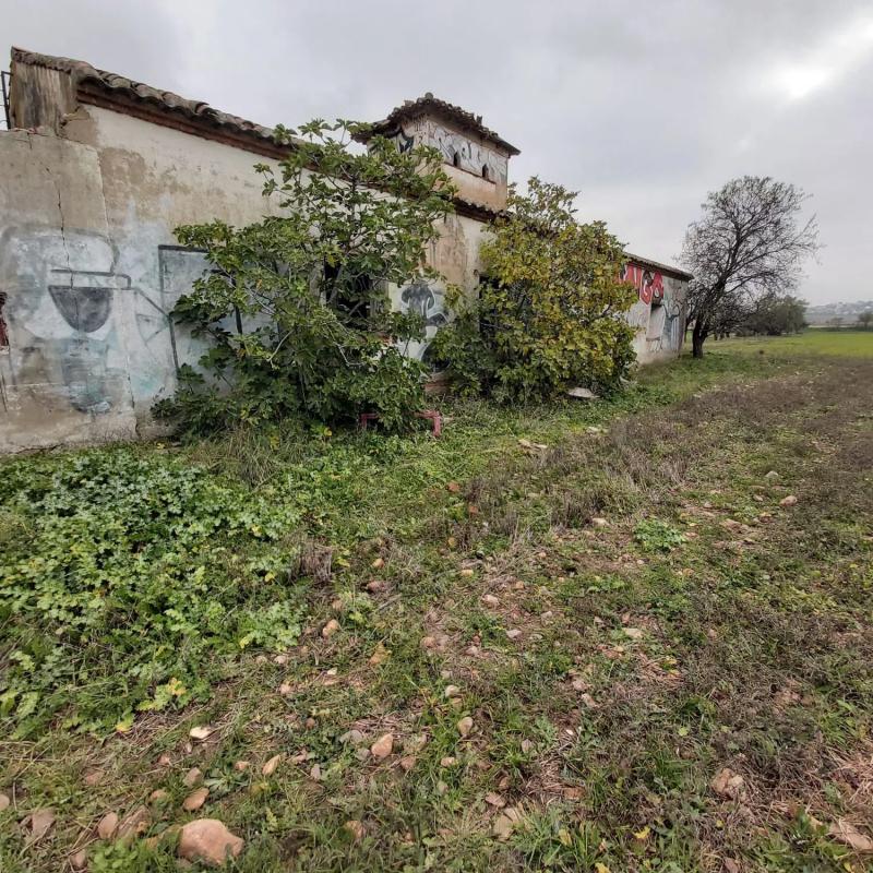 Terreno en venta en Fuente el Saz de Jarama, Madrid photo 2