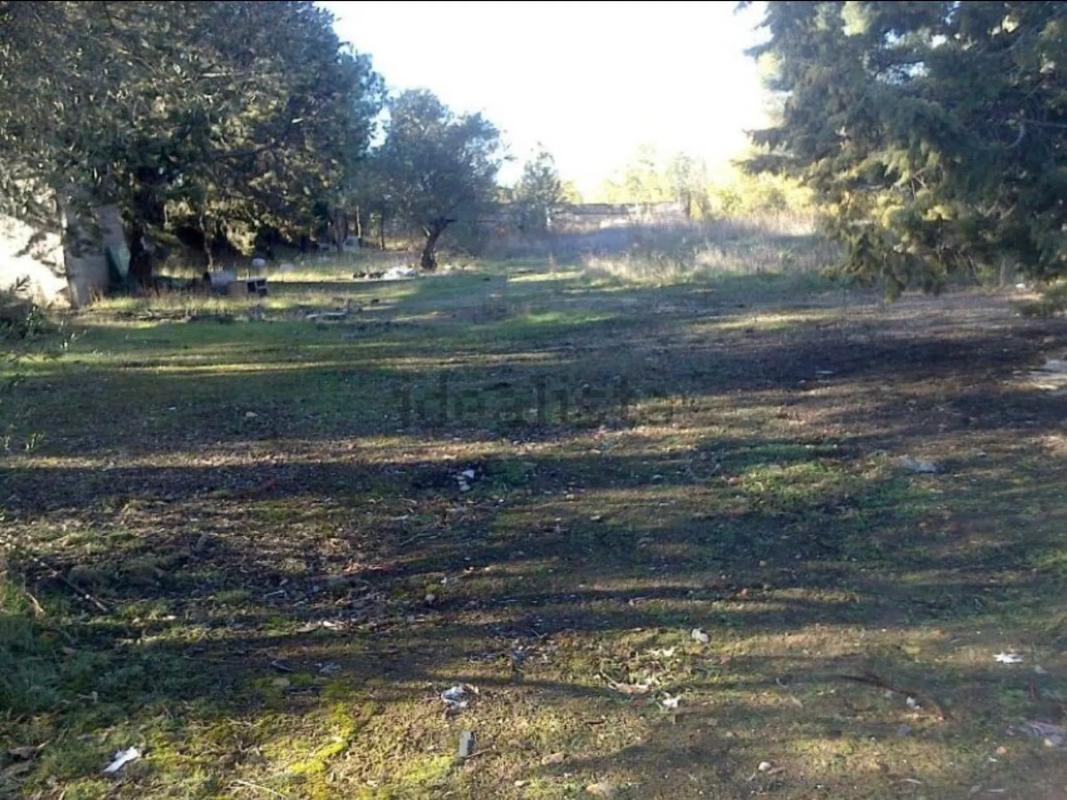 Terreno en venta en Algete, Madrid photo 4