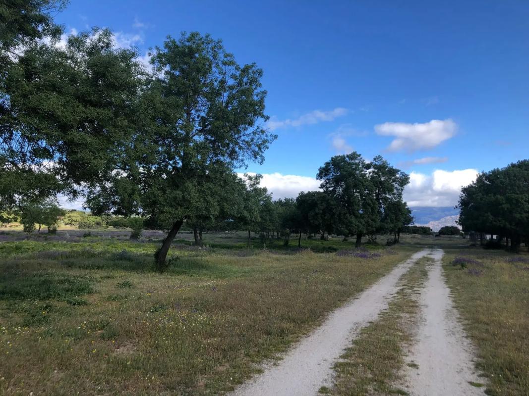 Terreno en venta en Colmenar Viejo, Madrid photo 4