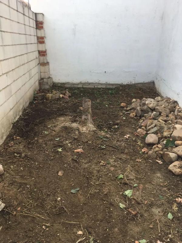 Terreno en venta en Valdeolmos-Alalpardo, Madrid photo 4