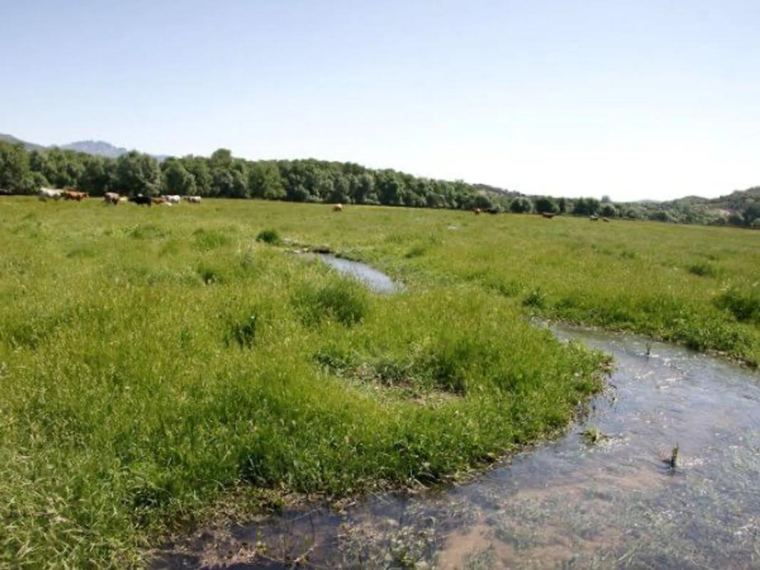 Terreno en venta en Guadalix de la Sierra, Madrid photo 5