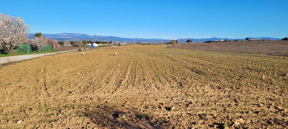 Участок земли на продажу в Фуэнтэ эль Сас де Харама, Мадрид photo 1