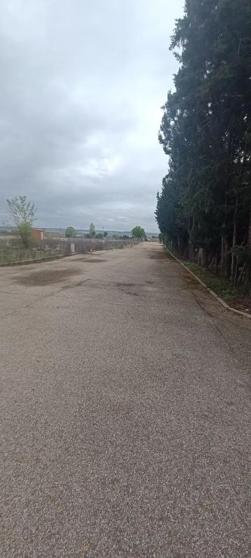 Działka na sprzedaż w Valdetorres de Jarama, Madryt photo 4