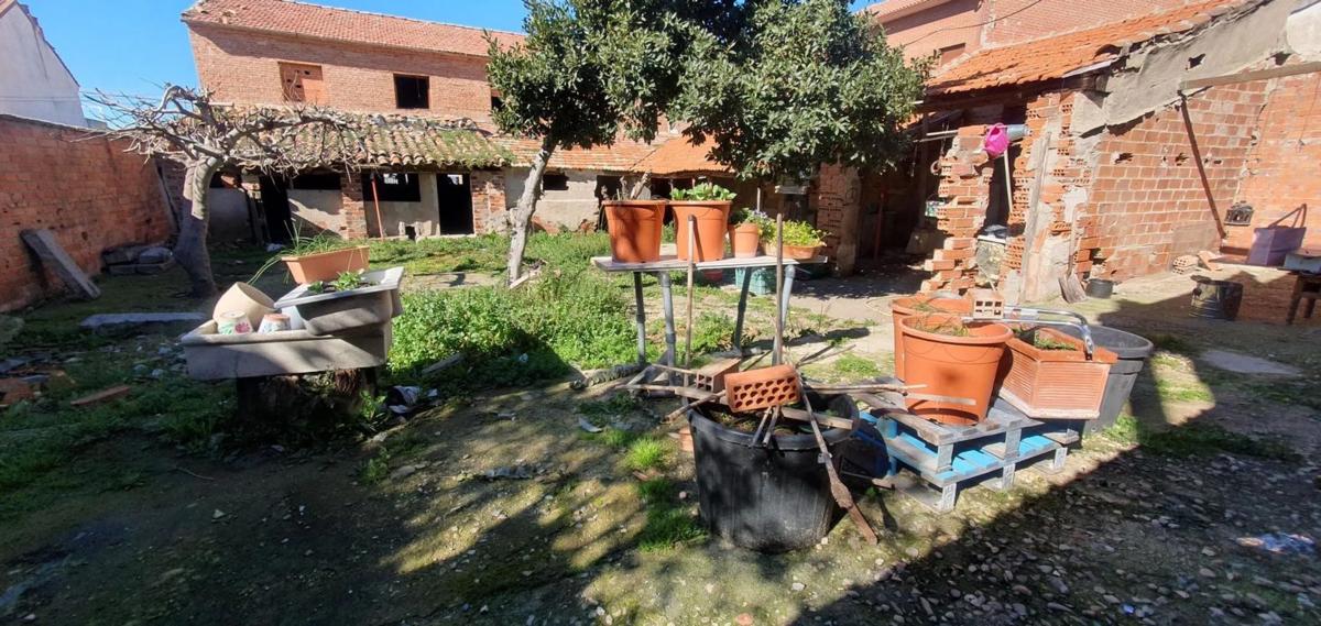 Terreno en venta en Fuente el Saz de Jarama, Madrid photo 4