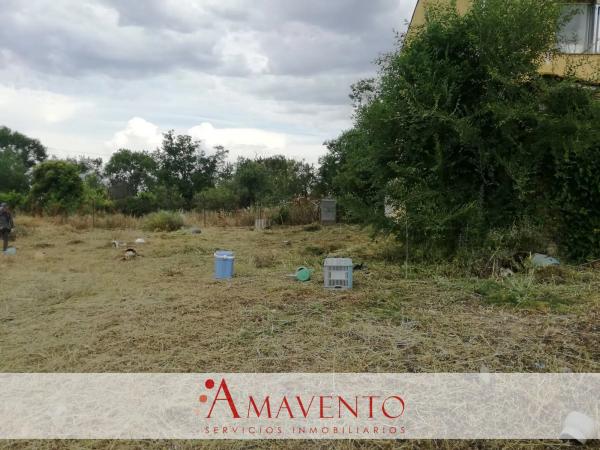 Terreno en calle de Rita González photo 3