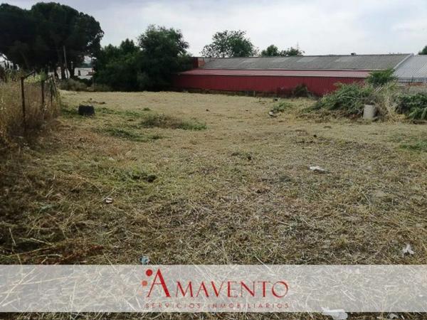 Terreno en camino Viejo de Cobeña photo 3