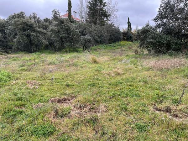 Terreno en paseo del Embajador, 80 photo 1