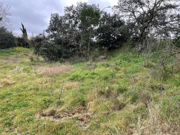Terreno en paseo del Embajador, 80 photo 2