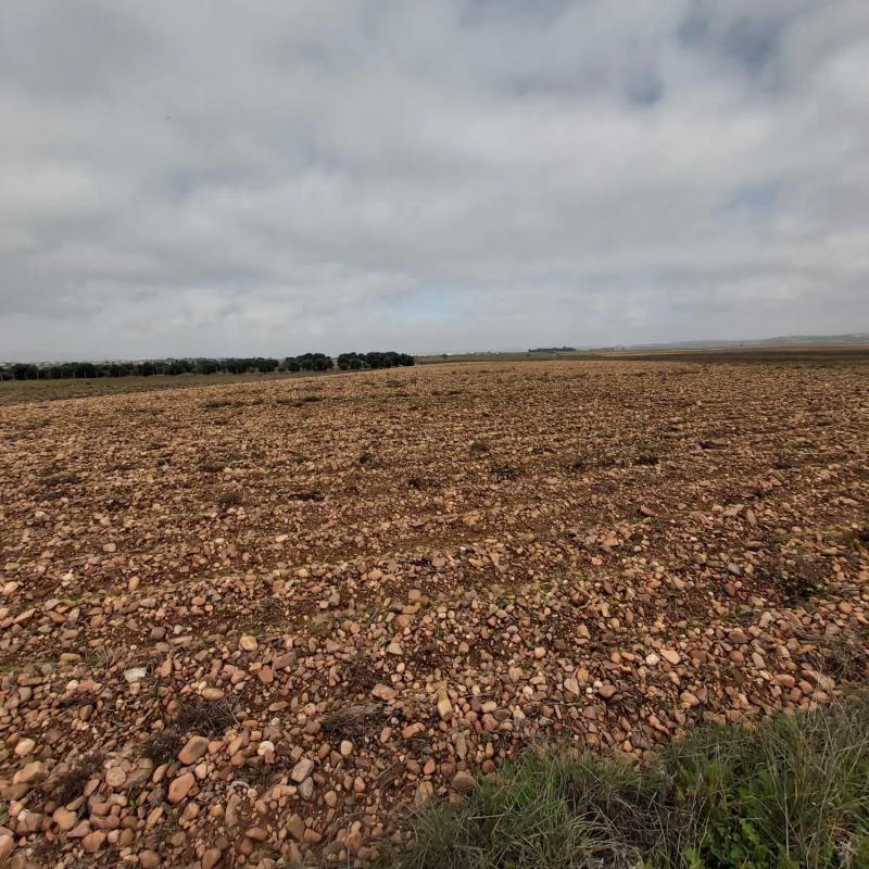 Участок земли на продажу в Вальдеторрес де Харама, Мадрид photo 2
