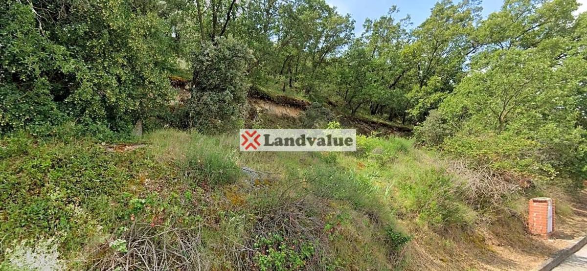 Terreno en venta en Guadalix de la Sierra, Madrid photo 3